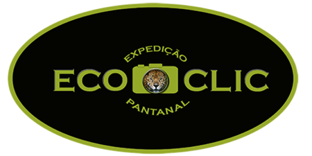 Logo de Ecoclic - Equipe de Londrina registrando a beleza do Pantanal